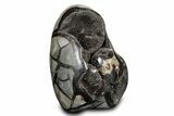 Free-Standing, Polished Septarian Geode - Black Crystals #302875-2